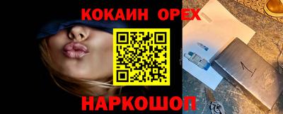jwh Кингисепп