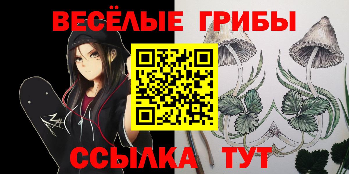 Псилоцибиновые грибы Cubensis  Вход с VPN  Котлас 