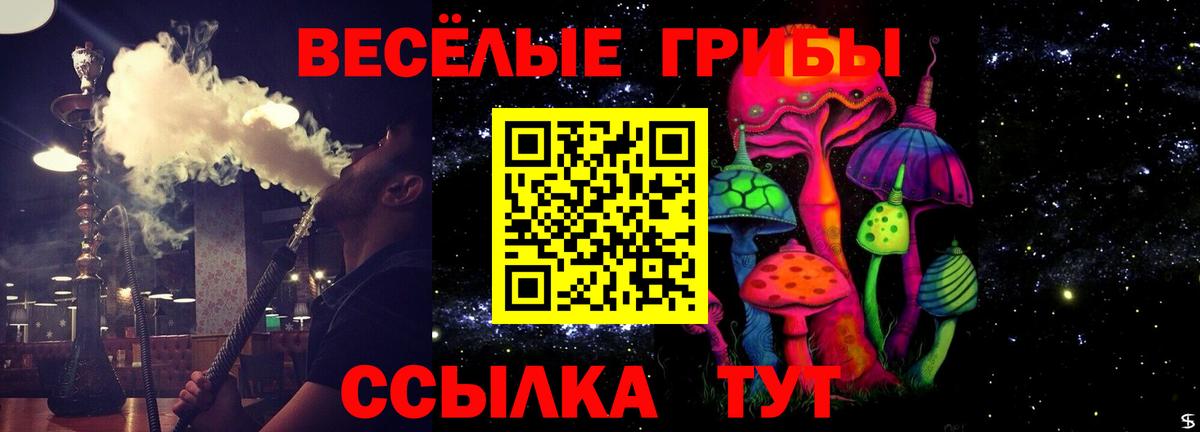 Галлюциногенные грибы Psilocybine cubensis Котлас
